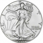 USA 1 Dollar 2021 Silver Eagle - 1 Unze Feinsilber - Typ 2